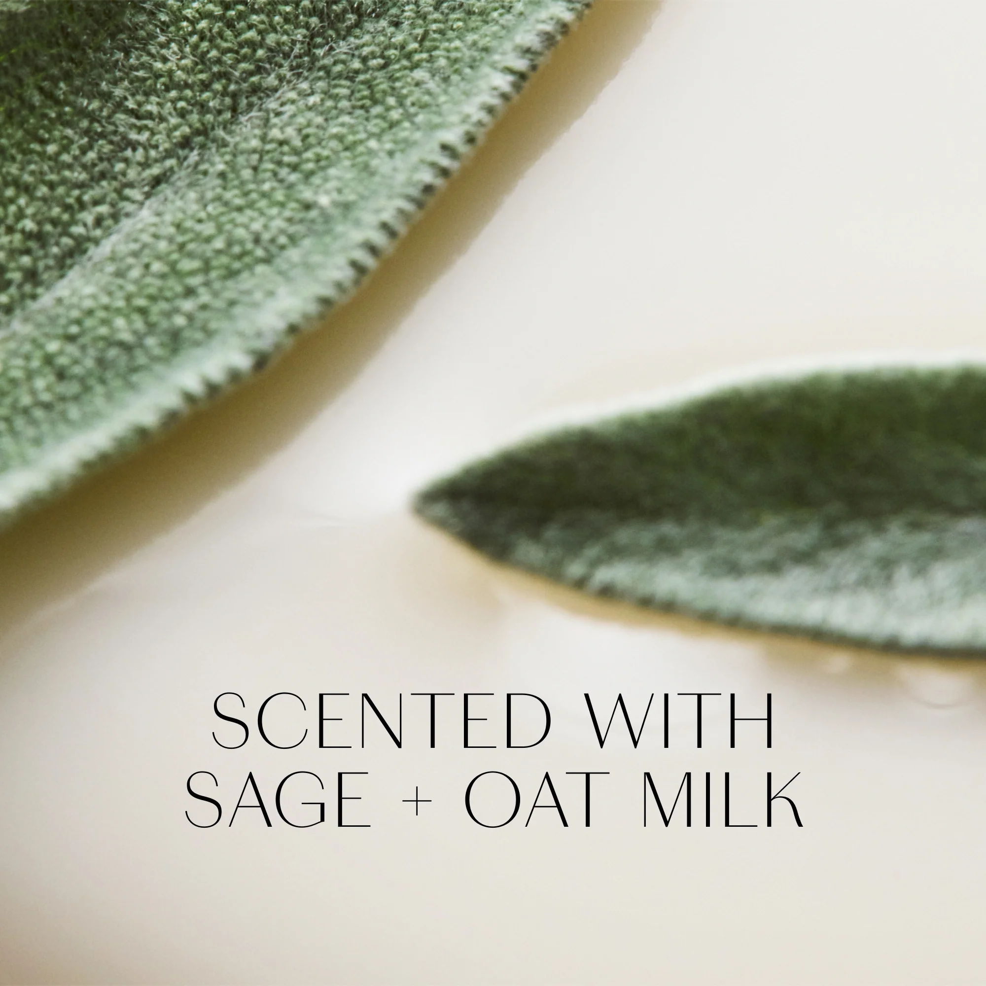Sage + Oat Milk Candle Collection - Image 5